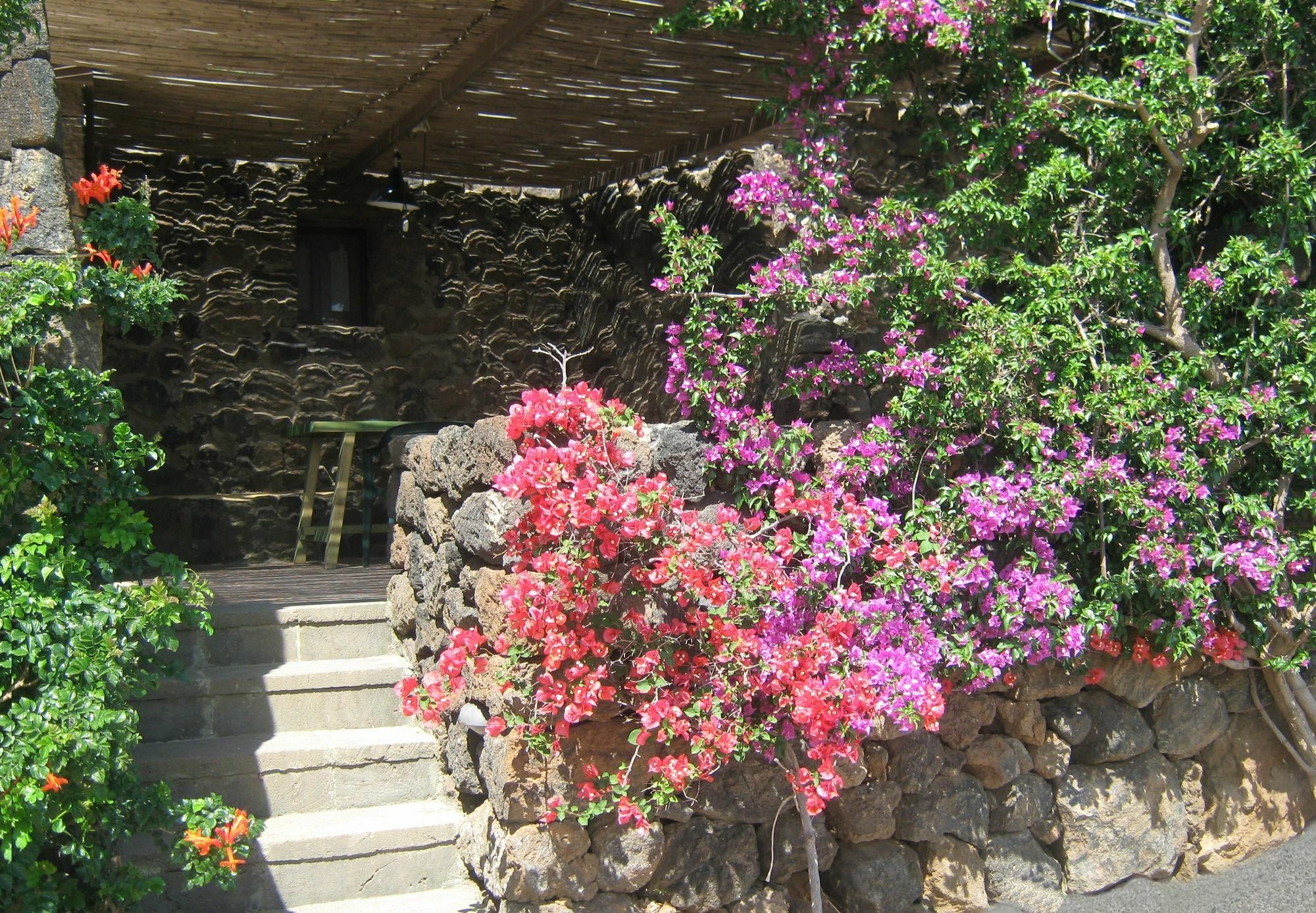 Agriturismo Zibibbodoro Scauri  Exterior foto